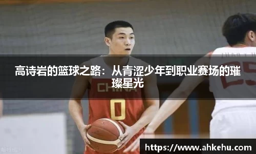 333体育官网