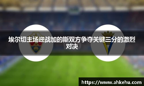 333体育官网